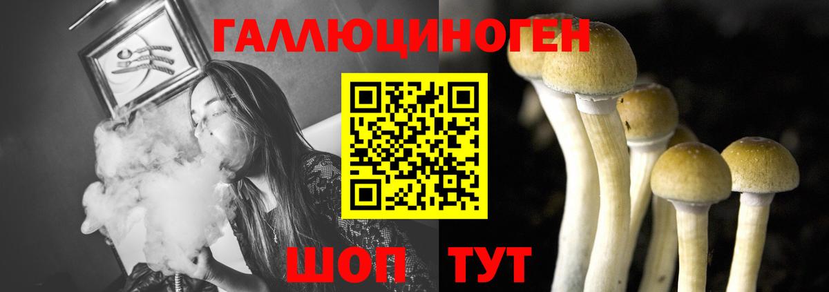 Рыбинск  Псилоцибиновые грибы мухоморы  Вход с VPN 